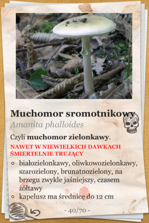 The Mushroom Book (Atlas Grzybów) - iOS (iPhone, iPod touch, iPad)