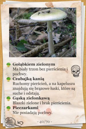 The Mushroom Book (Atlas Grzybów) - iOS (iPhone, iPod touch, iPad)