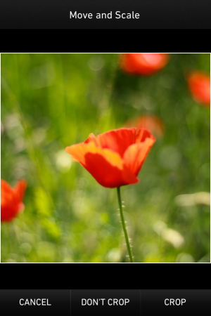 Mextures - iOS (iPhone, iPod touch)