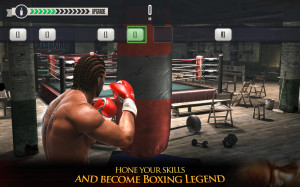 Real Boxing (OS X)