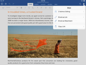 Microsoft Word for iPad