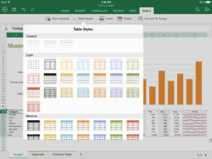 Microsoft Excel for iPad